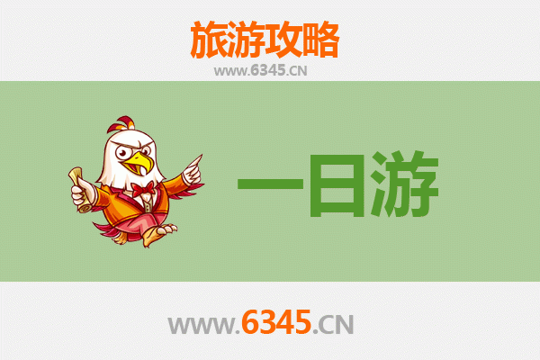 周口川汇自驾一日游攻略：豫东古韵与生态休闲之旅